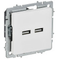 Розетка BRITE РЮ10-1-БрАБ USB AA 3.1А механизм арктич. бел. IEK BR-U21-D31-K91