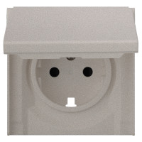 Лицевая панель для розетки 2к+з с крышкой, платина (35634 PL)