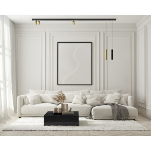 Светильник на шине Denkirs DK8008-BG