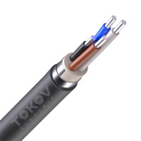 Кабель АВБШв 4х25 ОК (N) 0.66кВ (м) ГОСТ