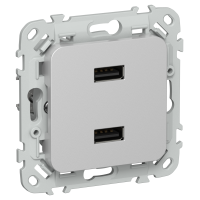 FLITE Розетка USB A+A 3,1А РЮ-2-ФлА алюминий IEK