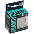 SKANDY Выключатель 2-клавишный с индикацией для отелей 10А SK-V16B бежевый IEK
