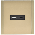 FORTE&PIANO Розетка USB A+C 18Вт FP651M металл шампань IEK