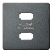 Simon 82 Concept Матовый титан, Накладка для зарядного устройства 2xUSB