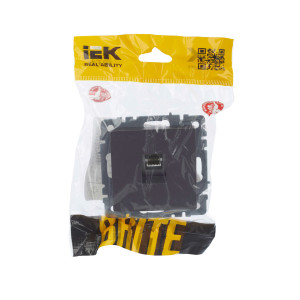 BRITE Розетка компьютерная RJ45 кат.5E РК10-БрС сталь IEK