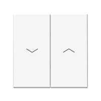 ARTGALLERY 2-клавишный ВЫКЛЮЧАТЕЛЬ ДЛЯ ЖАЛЮЗИ, 2х сх.4, 10А, механизм, БЕЛЫЙ GAL000119