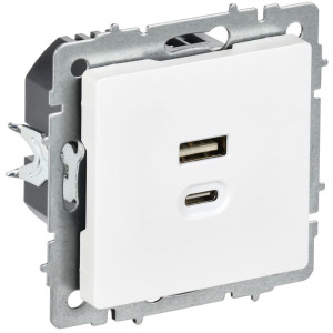 Розетка СП BRITE РЮ11-2-БрАБ USB AC 45Вт высокоскор. заряд. арктич. бел. IEK BR-U22-045-K91