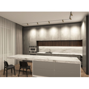 Светильник на шине Denkirs DK8020-BG