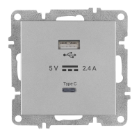Arvia Electric, L/K Механизм, Розетка USB + Type C, (серебро)