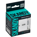 SKANDY Розетка USB A+C 3,1А SK-R14W арктический белый IEK