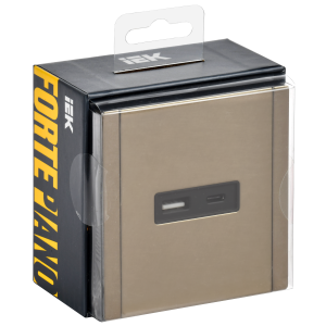 FORTE&PIANO Розетка USB A+C 18Вт FP651M металл шампань IEK