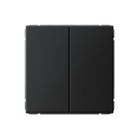 ARTGALLERY 2-клавишный ПЕРЕКЛЮЧАТЕЛЬ, 10АХ, механизм, быстрозажим. клем., КАРБОН GAL001065S