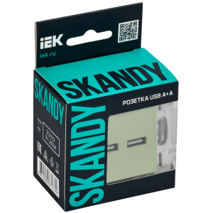 SKANDY Розетка USB A+A 3,1А SK-R15G мятный IEK