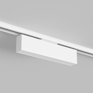 Светильник на шине Denkirs DK6440-WH