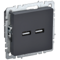 BRITE Розетка USB A+A 5В 3,1А РЮ10-1-БрГ графит IEK