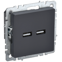 BRITE Розетка USB A+A 5В 3,1А РЮ10-1-БрГ графит IEK