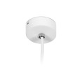 Светильник подвесной Ambrella light TN501