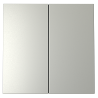 Клавиши для выключателя/переключателя двухклавишного, S70 (сталь)