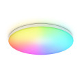 Умный светодиодный светильник с пультом 3000K-6500K+RGB 20Вт IP54 (Tuya,Smart Home,Яндекс Алиса)