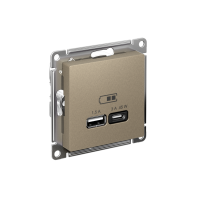 ATLASDESIGN USB РОЗЕТКА A + тип-C 45Вт высокоскор.заряд. QC, PD, механизм, ШАМПАНЬ ATN000529