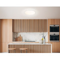 Умный светодиодный светильник с пультом 3000K-6500K+RGB 20Вт IP54 (Tuya,Smart Home,Яндекс Алиса)