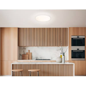 Умный светодиодный светильник с пультом 3000K-6500K+RGB 20Вт IP54 (Tuya,Smart Home,Яндекс Алиса)