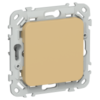 FLITE Заглушка с суппортом ЗГ-ФлШм шамуа IEK