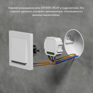 Wi-Fi реле Denkirs RL1001-SM/1