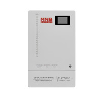 Аккумуляторные батареи MNB Battery LFPW-51.2-100 LCD Touch (51.2В, 100 Ач, LiFePO4)