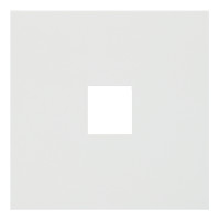 Лицевая панель для одиночной информационной розетки, белый сатин (35441 MW)