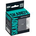 SKANDY Розетка USB A+A 3,1А SK-R15Bl черный IEK