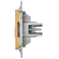 FLITE Розетка 2-местная компьютерная RJ45 категория 5Е UTP РК5е-2-0-ФлШм шамуа IEK