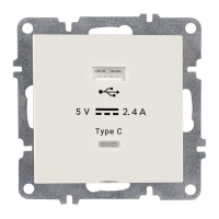 Arvia Electric, L/K Механизм, Розетка USB + Type C, (белый)