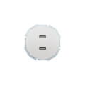 OSEN Розетка 2-ая USB разъем белая искра матовая  