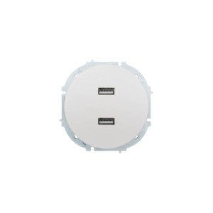 OSEN Розетка 2-ая USB разъем белая искра матовая  