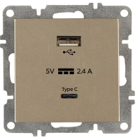 Arvia Electric, L/K Механизм, Розетка USB + Type C, (титан)
