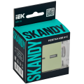 SKANDY Розетка USB A+C 3,1А SK-R14G мятный IEK