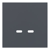 Лицевая панель для розетки USB C/C, базальт (35675 BT)