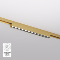 Светильник на шине Denkirs DK5771-SB