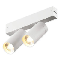 Трековый светильник SMART CYLINDER AM528 WH-220V-2Х10W SMART