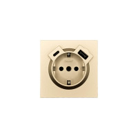 ZIMA Розетка сз TC  USB разъем золото
