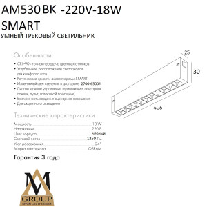Трековый светильник SMART GLASSES AM530 BK-220V-18W SMART