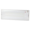 Светильник светодиодный DPA-301-0-65 40LED 3ч IP65 аварийный непостоянный Эра Б0044405