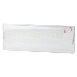 Светильник светодиодный DPA-301-0-65 40LED 3ч IP65 аварийный непостоянный Эра Б0044405