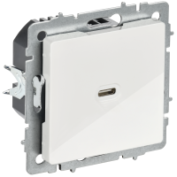 BRITE Розетка USB C 65Вт высокоскоростная зарядка РЮ12-1-БрБ белый IEK