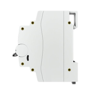 Выключатель нагрузки 2п 100А ВН-125 PROxima EKF SL125-2-100-pro