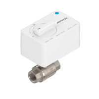 Шаровой кран с электроприводом Welrok sp нерж. DN15 12