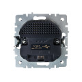 BRITE Розетка 1-местная с заземлением с защитными шторками 16А с USB AA 5В 2,1А РЮш10-1-БрС сталь IEK