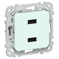 FLITE Розетка USB A+A 3,1А РЮ-2-ФлХЛ холодный лед IEK