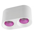 Накладной светильник Denkirs DK3096-WH+PI